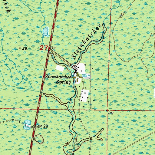 Topographic Map of Steinhatchee Spring, FL