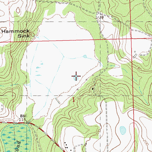 Topographic Map of Straw Pond, FL