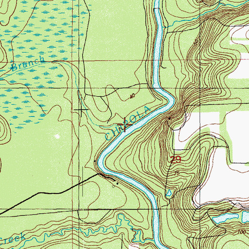 Topographic Map of Turtle Lake Branch, FL