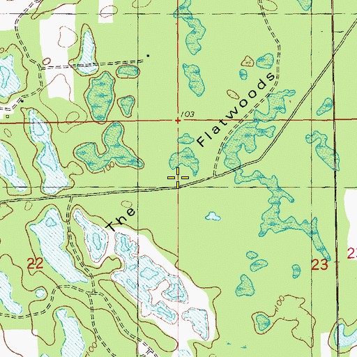 Topographic Map of The Flatwoods, FL
