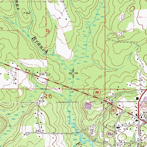 Topographic Map of Thomas Branch, FL
