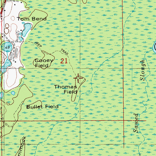 Topographic Map of Thomas Field, FL
