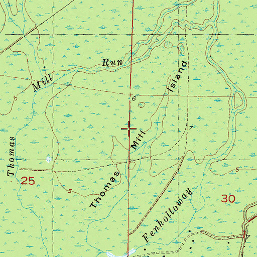 Topographic Map of Thomas Mill Island, FL