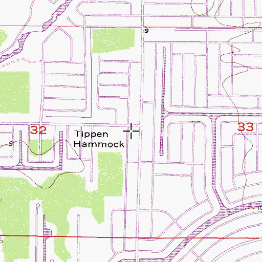 Topographic Map of Tippen Hammock, FL