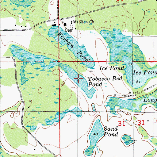 Topographic Map of Tobacco Bed Pond, FL
