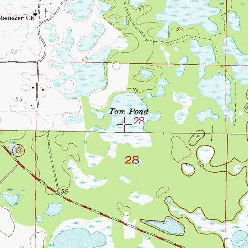 Topographic Map of Tom Pond, FL