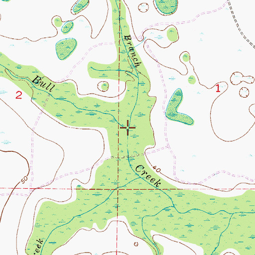 Topographic Map of Tracy Branch, FL