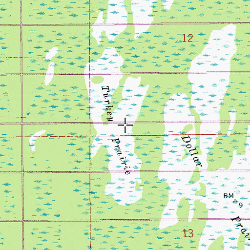 Topographic Map of Turkey Prairie, FL