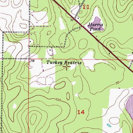 Topographic Map of Turkey Prairie, FL