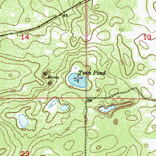 Topographic Map of Twin Pond, FL
