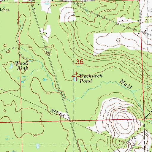 Topographic Map of Upchurch Pond, FL