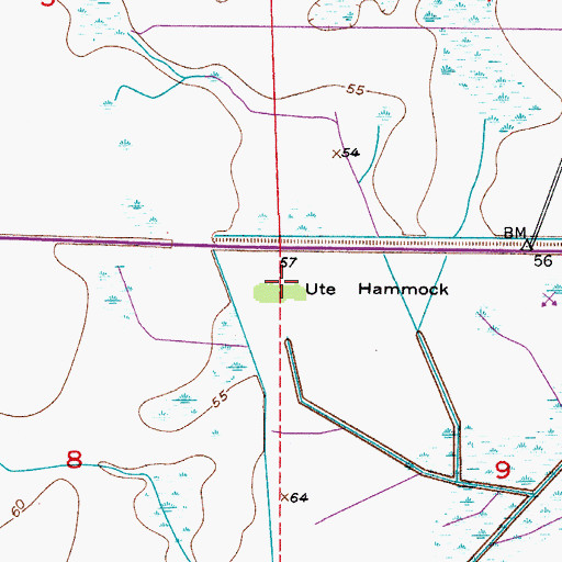 Topographic Map of Ute Hammock, FL