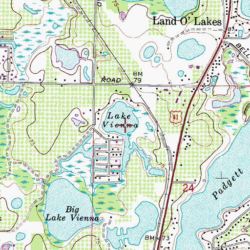 Topographic Map of Vienna Lake, FL