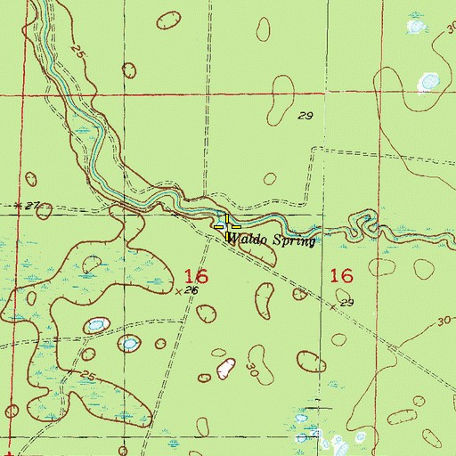 Topographic Map of Waldo Spring, FL