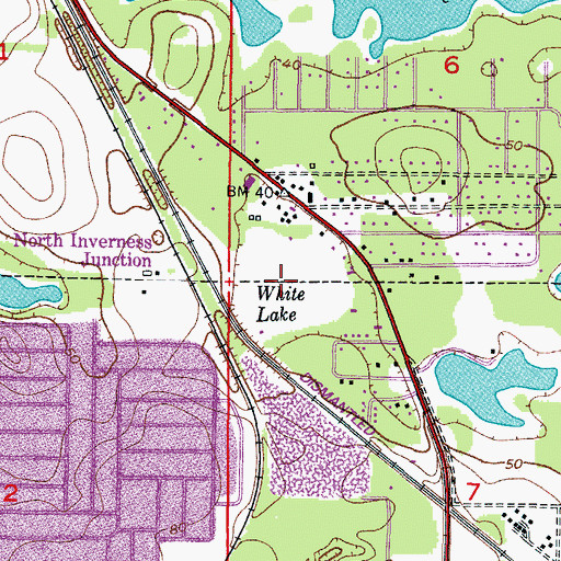 Topographic Map of White Lake, FL