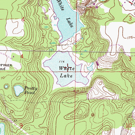 Topographic Map of White Lake, FL