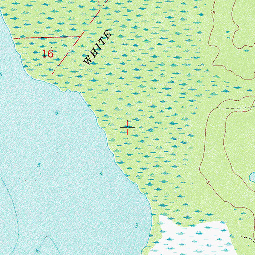 Topographic Map of White Oak Swamp, FL