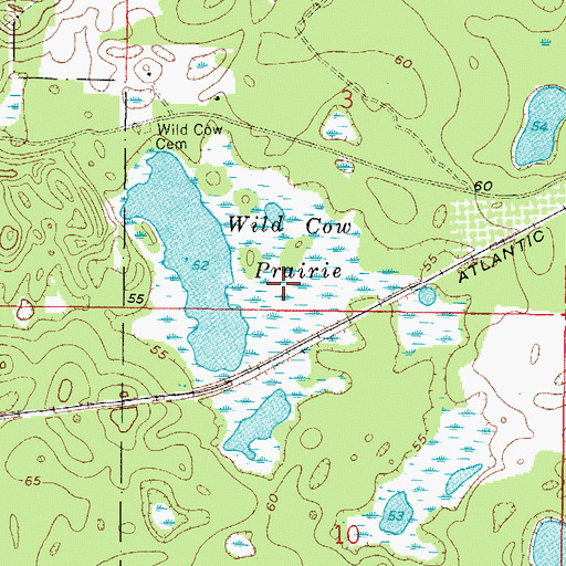 Topographic Map of Wild Cow Prairie, FL