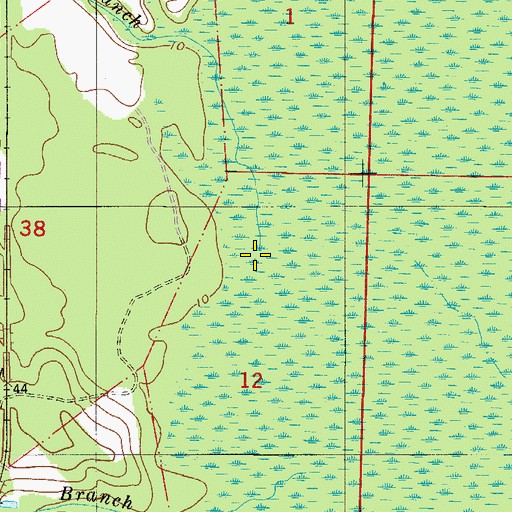 Topographic Map of Wilder Branch, FL