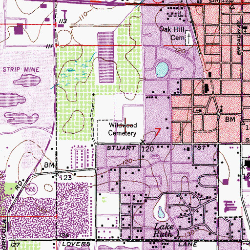 Topographic Map of Wildwood Cemetery, FL