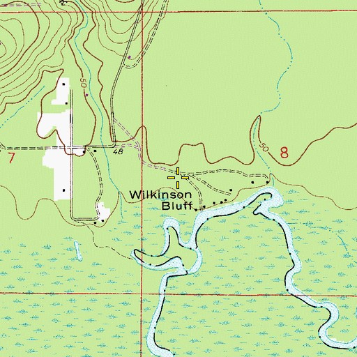 Topographic Map of Wilkinson Bluff, FL