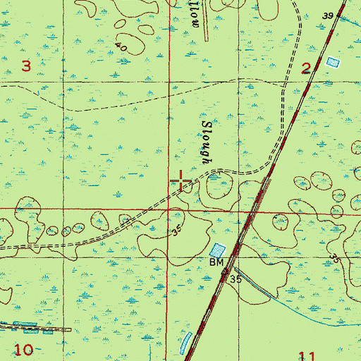 Topographic Map of Willow Slough, FL