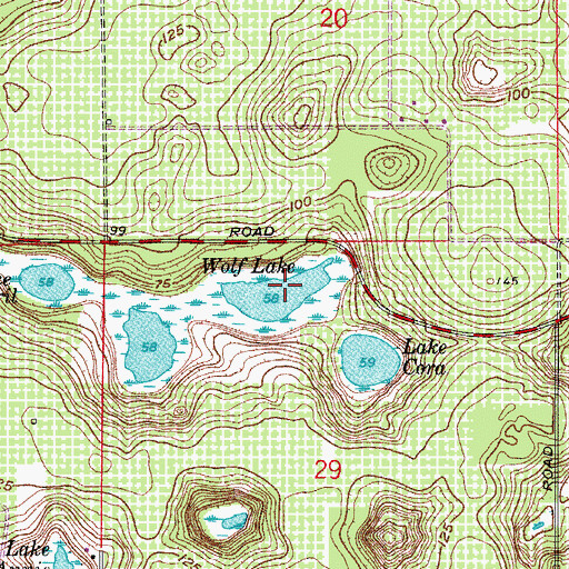 Topographic Map of Wolf Lake, FL