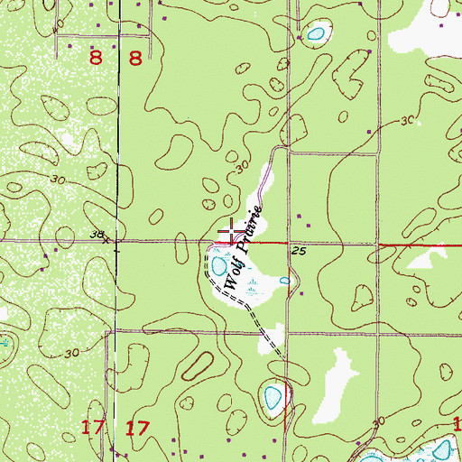 Topographic Map of Wolf Prairie, FL