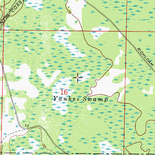 Topographic Map of Yankee Swamp, FL