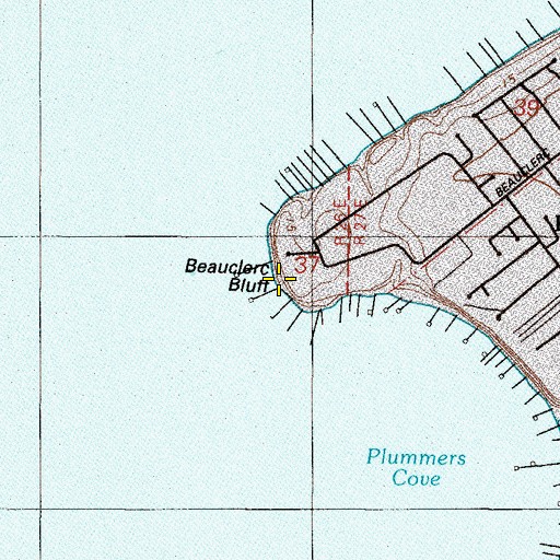 Topographic Map of Beauclerc Bluff, FL