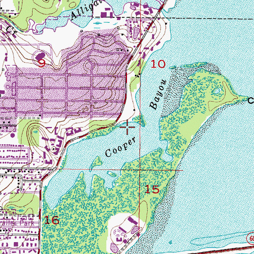 Topographic Map of Cooper Bayou, FL