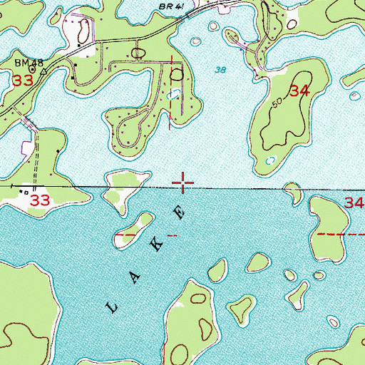 Topographic Map of Tsala Apopka Lake, FL