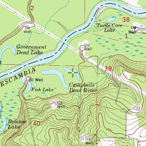 Topographic Map of Campbells Dead River, FL