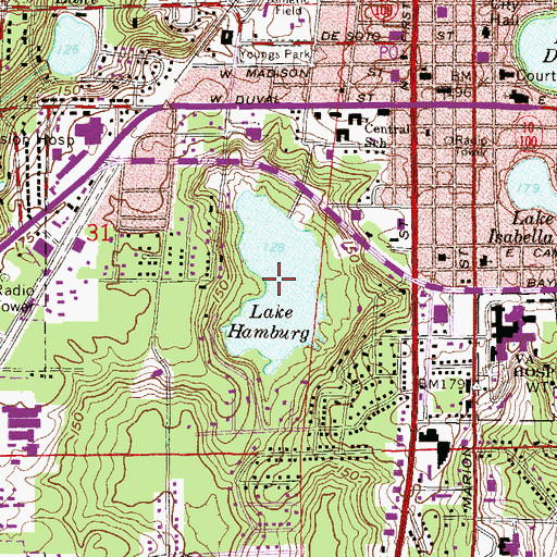 Topographic Map of Lake Hamburg, FL
