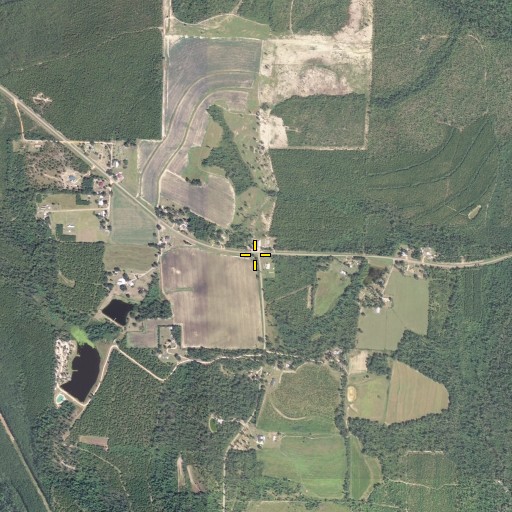 Aerial/Satellite Image of Cobbtown, FL
