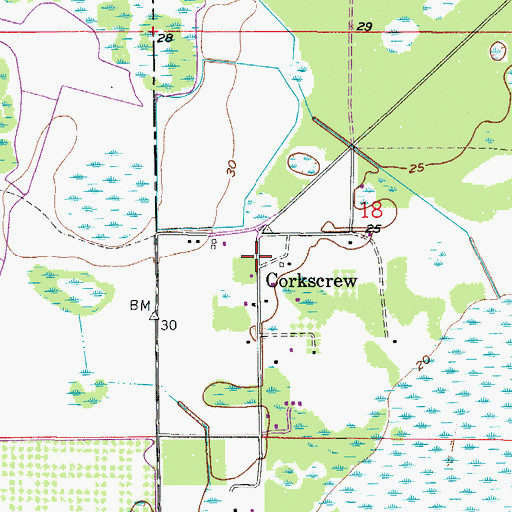 Topographic Map of Corkscrew, FL