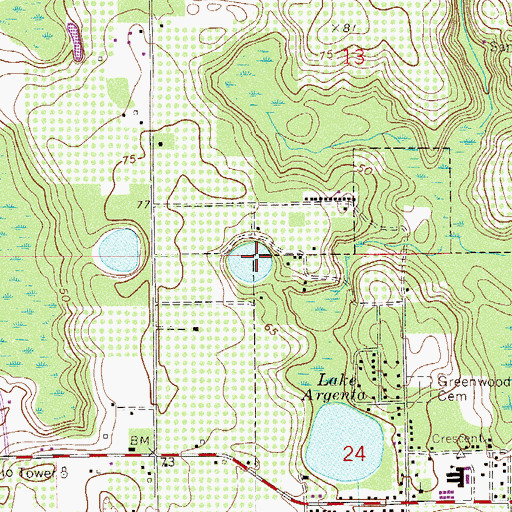 Topographic Map of Lake Omega, FL