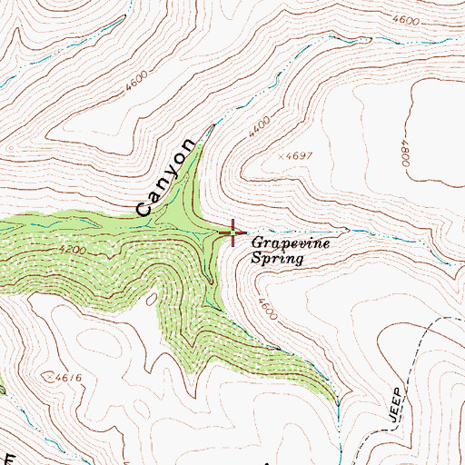 Topographic Map of Grapevine Spring, AZ