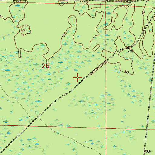 Topographic Map of Dixie County, FL