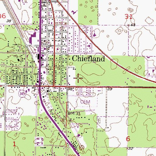 Topographic Map of Chiefland Shopping Center, FL