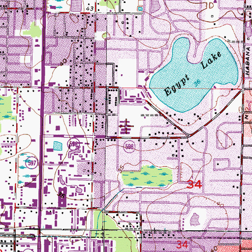 Topographic Map of Egypt Lake Elementary School, FL