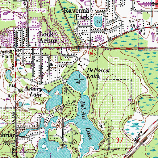 Topographic Map of DeForest Lake, FL