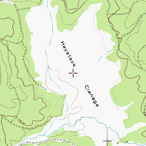 Topographic Map of Haystack Cienega, AZ