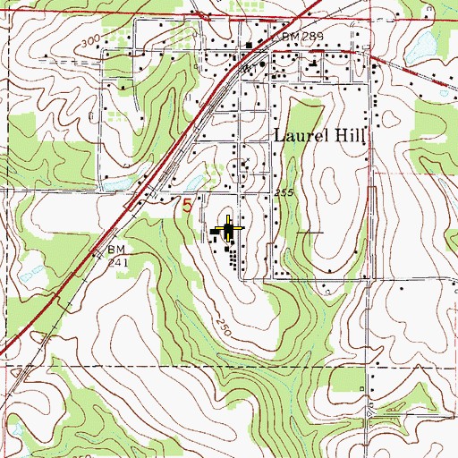 Topographic Map of Laurel Hill School, FL