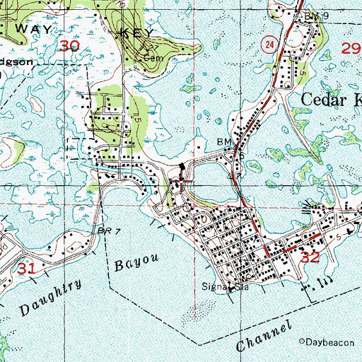 Topographic Map of Cedar Key School, FL