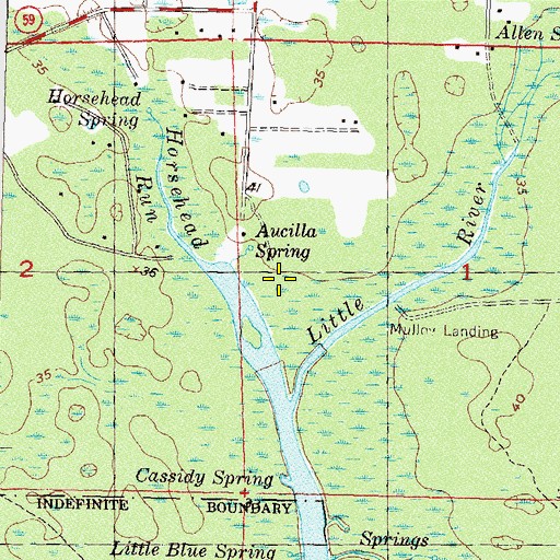 Topographic Map of Aucilla Spring, FL