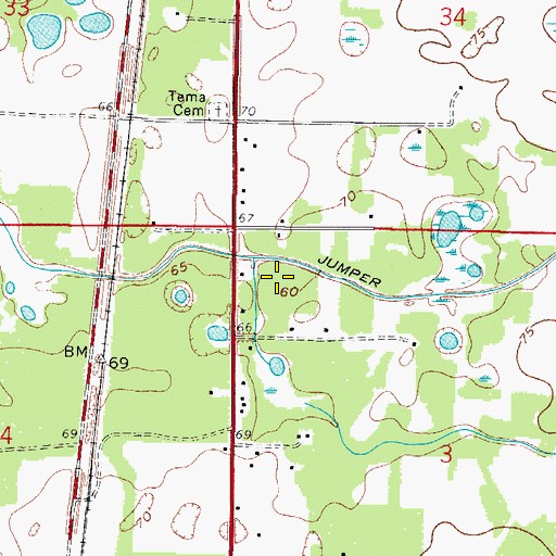 Topographic Map of Bushnell Tower, FL