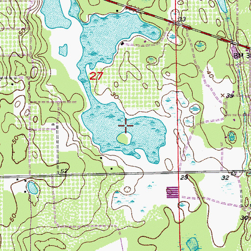 Topographic Map of Taylor Lake, FL