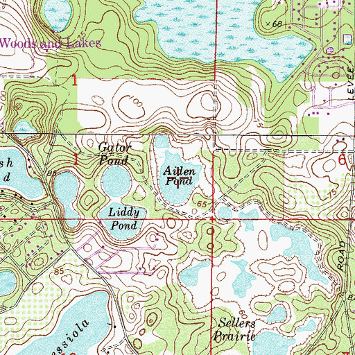 Topographic Map of Aiden Pond, FL