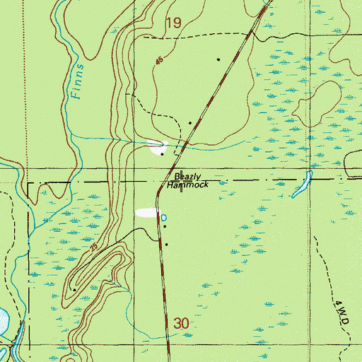 Topographic Map of Beazly Hammock, FL